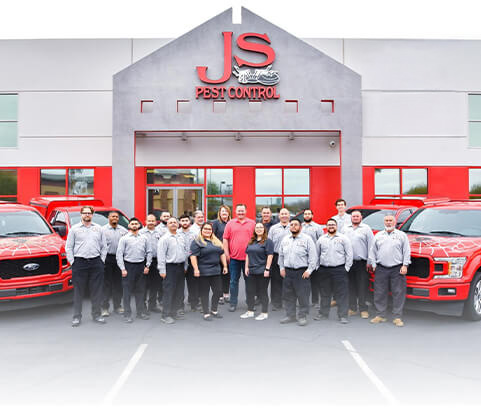 Home Mobile Header Image