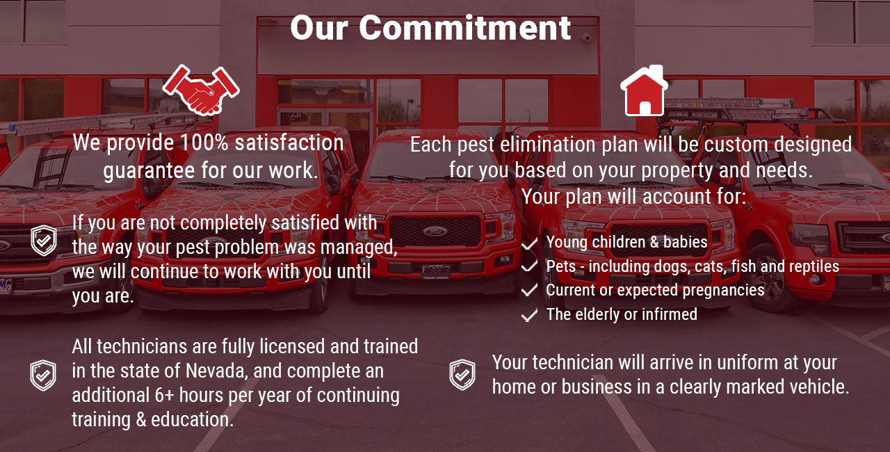 Our Commitment