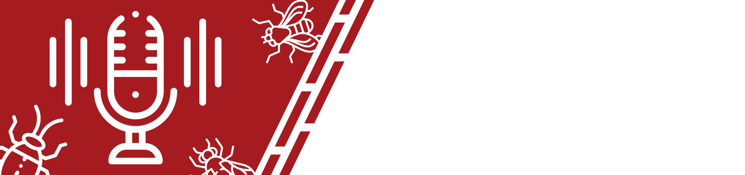 Home Header